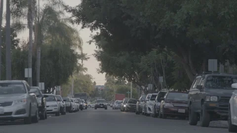 Traffic Moving Along Tree Lined Urban Street Stock Footage 343968189