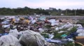 traffic near dump trash by the road HD 동영상
