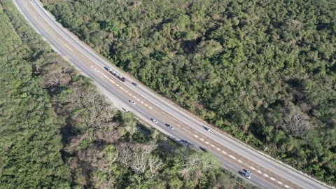 Traffic over highway road to Punta Cana Stock Footage 236529164