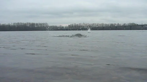 Traffic Over the River with Skipping Rocks Video stock 6510956