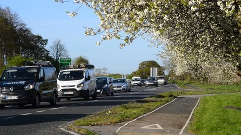 Traffic passing cherry blossom trees on A64 york united kingdom Stock Footage 74654472