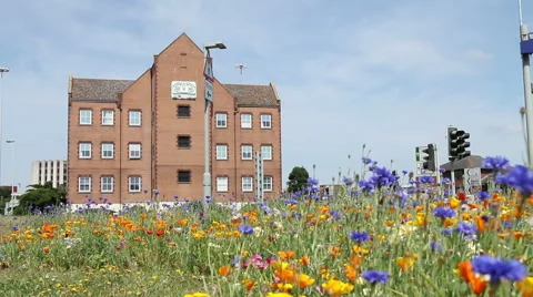 Traffic passing small office block on sunny day Stock Footage 51342966