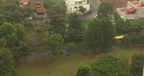 Traffic on road next to a park Stock Footage 222003141