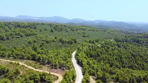 Traffic road surrounded with pine trees in nature. Aerial view 動画素材 138970657