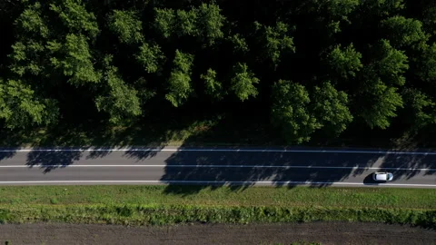 Traffic on the road through green forest, aerial view Vídeos de archivo 136545429
