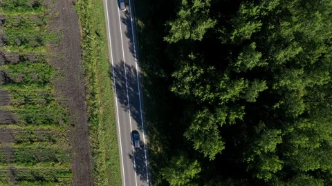 Traffic on the road through green forest, aerial view 스톡 동영상 136547281