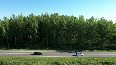 Traffic on the road through green forest, aerial view Vídeos de archivo 136550860