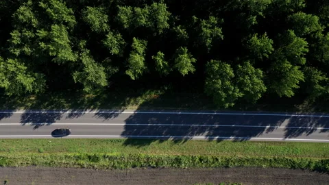 Traffic on the road through green forest, aerial view Vídeos de archivo 136894510
