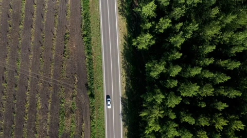 Traffic on the road through green forest, aerial view Vídeos de archivo 136895015