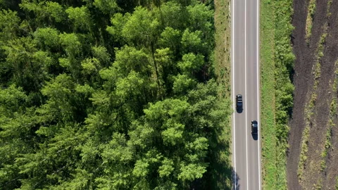 Traffic on the road through green forest, aerial view Vídeos de archivo 136895585