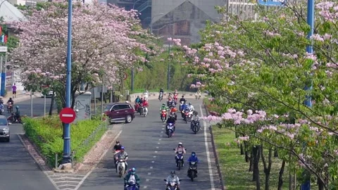 Traffic in Saigon street Stock Footage 142554623