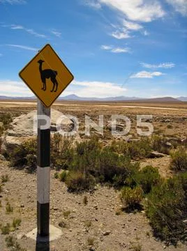 Traffic sign with lama Stock Photos