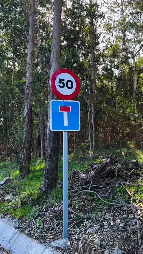 Traffic sign: maximum speed 50 and dead end road Stock Footage 263930991