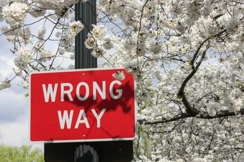 Traffic sign Stock Photos