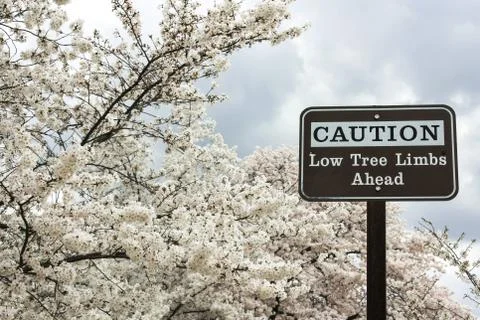 Traffic sign Foto stock
