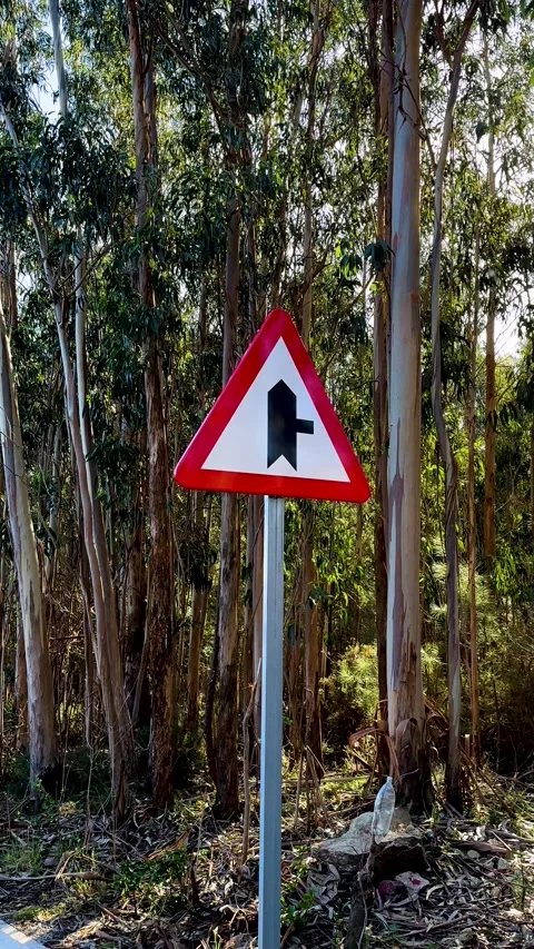 Traffic sign priority on road to the right Stock Footage 263931271