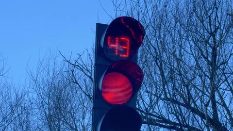 Traffic Signal Countdown Timer on Windy Weather with Trees and Dark Sky 写真素材
