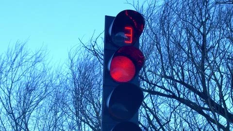 Traffic Signal Countdown Timer on Windy Weather with Trees and Dark Sky Stock Photos
