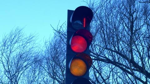 Traffic Signal Countdown Timer on Windy Weather with Trees and Dark Sky Stock Photos