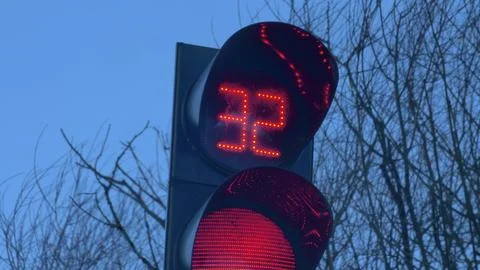 Traffic Signal Countdown Timer on Windy Weather with Trees and Dark Sky 写真素材