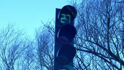 Traffic Signal Countdown Timer on Windy Weather with Trees and Dark Sky Stock Photos