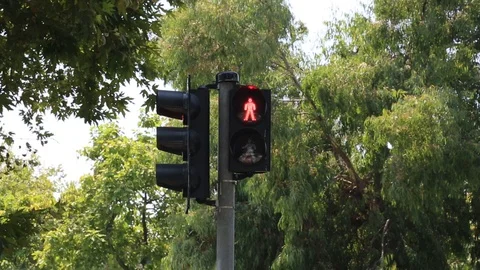 Traffic Signal Light Stock Footage 85637637