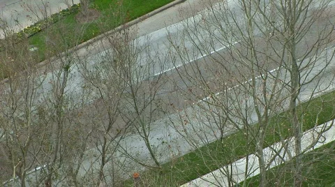 Traffic through trees Stock Footage