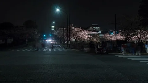 Traffic time lapse in Japanese springtime with cherry blossom trees Stock Footage 88669574