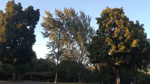 Traffic Timelapse in a City Video stock 42201953