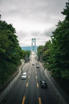 Traffic on tree-lined bridge Stock-Fotos