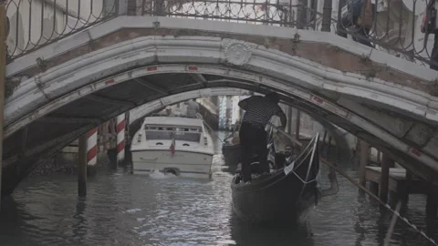 Traffic in venice Video stock 236117656