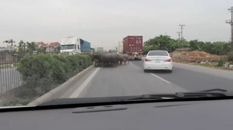 Traffic in viet nam Stock Footage 58625606