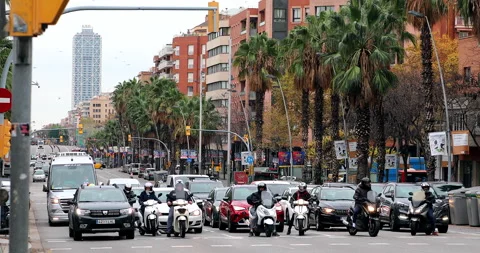 Traffic Waiting For Green Light Stock Footage 229569976