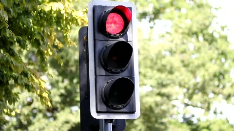Trafficlight Stock Footage 842706