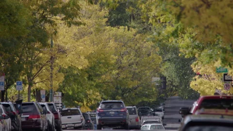 Traffic,People,Fall,Flagstaff-2 Video stock 225940724