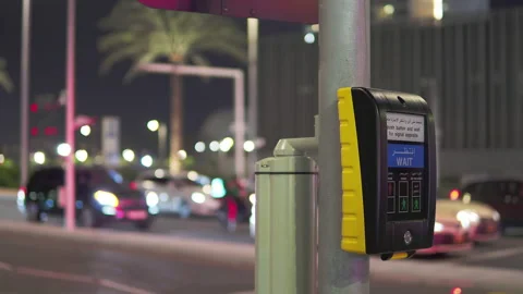 Trafic light push button.Cars passing by on the background.Palms and night city Stock-Footage 204720578