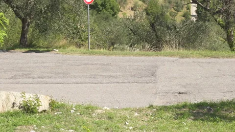 Trafic mountains garda lake Video stock 133340057