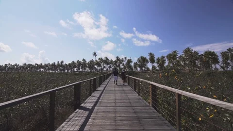 Trai on a tropical beach 2 動画素材 128094607