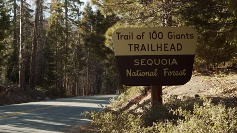 Trail of 100 Giants Trailhead, fall colors, Sequoias, car, road, close shot Stock Footage 146582479