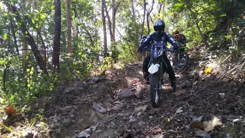 Trail adventure in forest Video stock 169357384