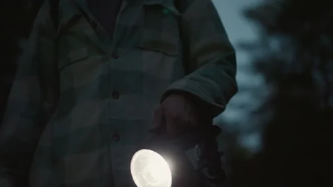 Trail adventure illuminated by bright torch amid silent pines, Hiker cautiously Stock Footage 327761242