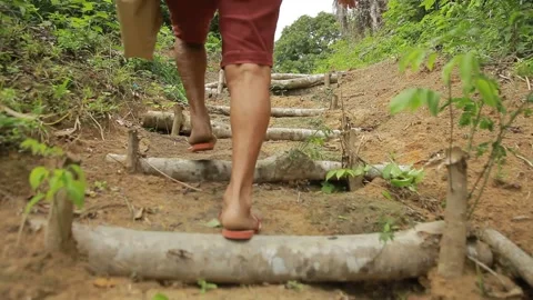 Trail in the amazon jungle Stock Footage 153096916