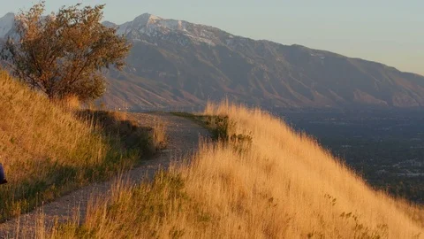 Trail and mountain biker Vídeos de archivo 84997345