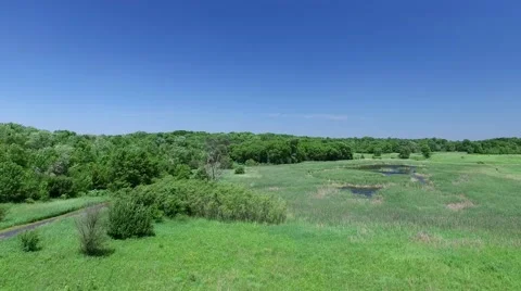 Trail and Swamp Drone Stock Footage 64558247