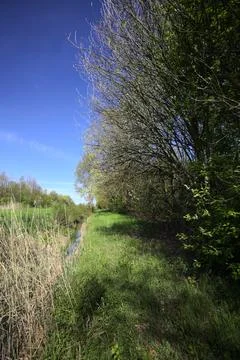Trail and a trench Stock Photos