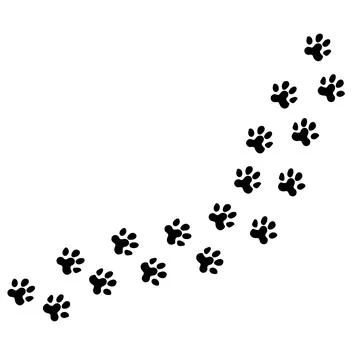Trail of animal tracks Stock Illustration