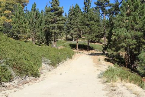 Trail to anywhere Stock Photos