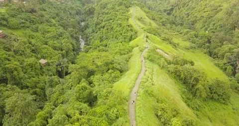 Trail of the artist Ubud, Indonesia Stock Footage 104347327