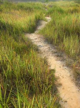 The trail in autumn Stock Photos