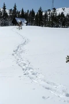 Trail back to the cabin Stock Photos